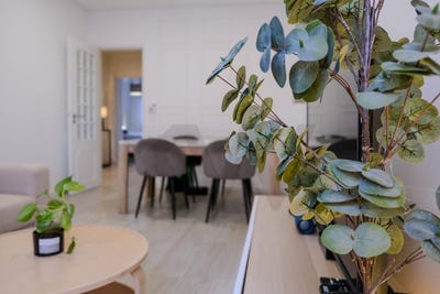 /international/pt/setubal-setubal-municipality-310108052733/