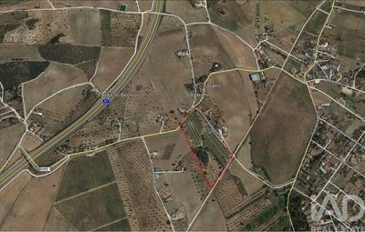 /international/pt/santarem-santarem-120069630330/