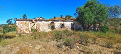 /international/pt/sao-bartolomeu-de-messines-faro-310094836497/