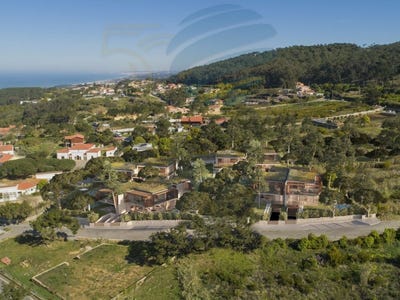 /international/pt/colares-lisbon-310107641624/