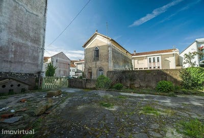 /international/pt/murtosa-aveiro-310107177940/