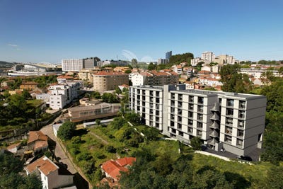 /international/pt/campanha-porto-braga-310101416559/