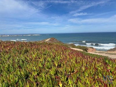 /international/pt/peniche-leiria-120095035888/