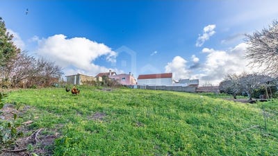 /international/pt/mafra-lisbon-310106108796/