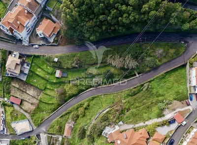 /international/pt/gaula-santa-cruz-madeira-310106513519/