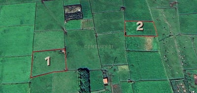 /international/pt/r-do-barreiro-20-9760-fontinhas-portugal-ilha-terceira-azores-310108369117/
