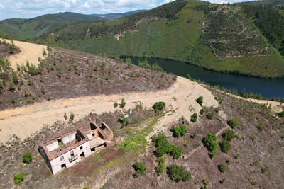 /international/pt/pampilhosa-da-serra-coimbra-310100558377/