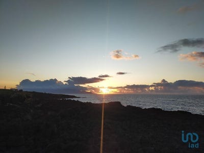 /international/pt/bandeiras-azores-310104508131/
