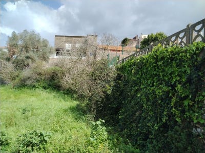 /international/pt/maiorga-leiria-310098266454/