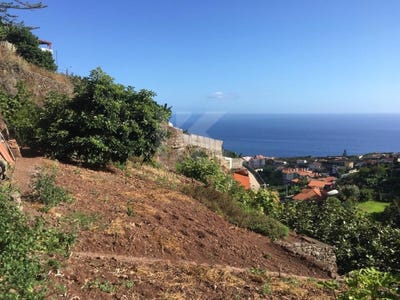 /international/pt/camara-de-lobos-madeira-310103537610/