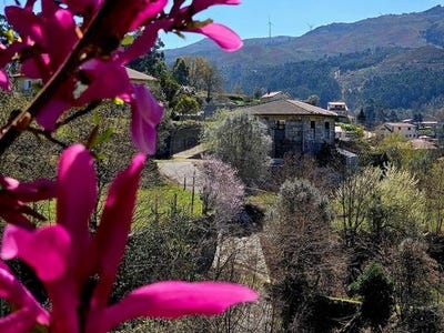 /international/pt/vieira-do-minho-braga-310107977981/