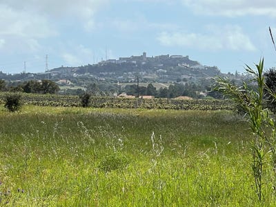 /international/pt/pinhal-novo-setubal-municipality-310100664936/
