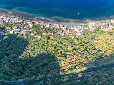 /international/pt/paul-do-mar-madeira-310103223724/