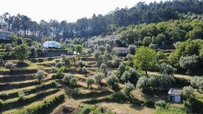 /international/pt/celorico-de-basto-braga-310107977119/
