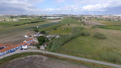 /international/pt/sarilhos-grandes-setubal-municipality-120091016075/