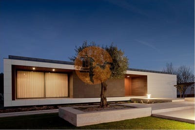 /international/pt/quelfes-faro-310107623550/