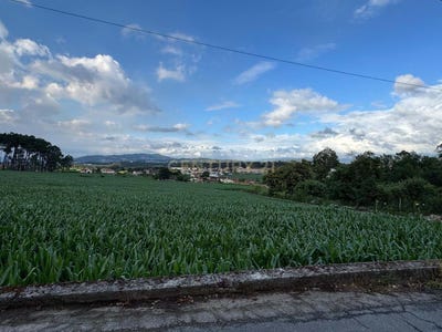 /international/pt/rua-do-aires-do-rio-monte-de-fralaes-portugal-viatodos-braga-310109106112/