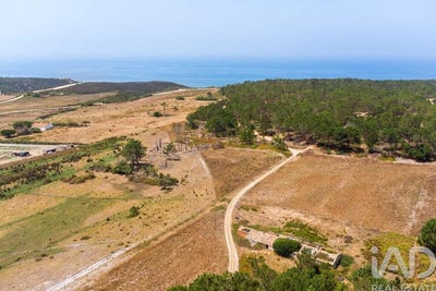 /international/pt/faro-faro-310102551591/