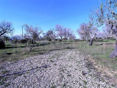 /international/pt/guia-leiria-310106485353/