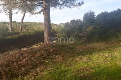/international/pt/sintra-lisbon-310105989934/