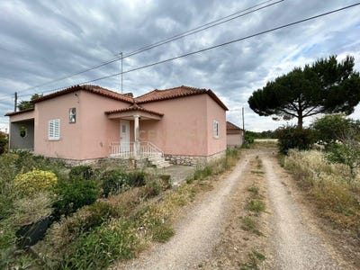/international/pt/tomar-sao-joao-baptista-e-santa-maria-dos-olivai-setubal-municipality-310100664420/