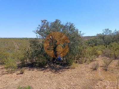 /international/pt/choca-queimada-castro-marim-faro-120086463308/
