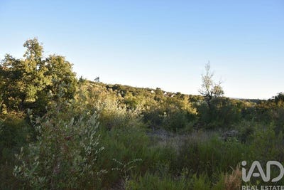 /international/pt/santarem-santarem-310102832492/