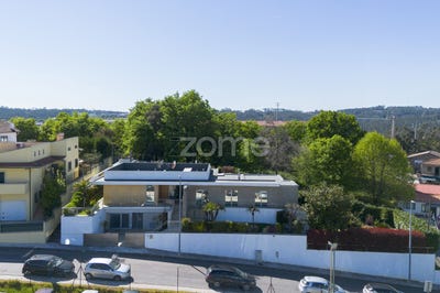 /international/pt/oliveira-de-azemeis-aveiro-310108726509/