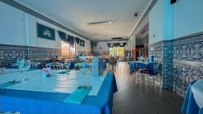 /international/pt/praia-do-ribatejo-santarem-310100486149/