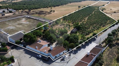 /international/pt/portalegre-portalegre-310109174323/?lang=th