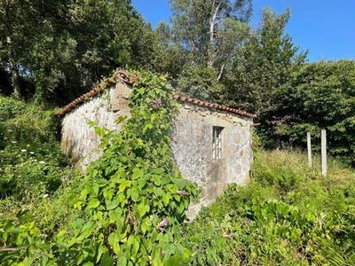 /international/pt/arcos-de-valdevez-viana-do-castelo-310102346945/
