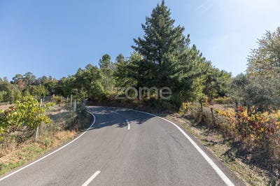/international/pt/arganil-santarem-310102861638/