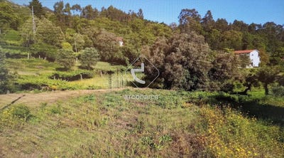 /international/pt/anais-viana-do-castelo-310107017870/