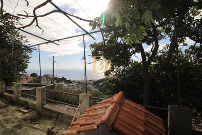 /international/pt/santa-cruz-madeira-310104498958/
