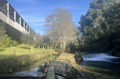/international/pt/viana-do-castelo-viana-do-castelo-310096508895/