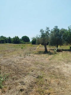 /international/pt/alcobaca-leiria-310101487628/