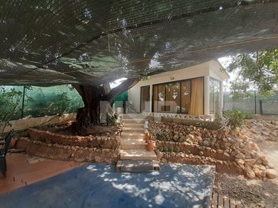 /international/pt/quelfes-faro-310108465756/