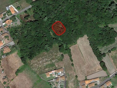 /international/pt/murtosa-aveiro-310103455509/