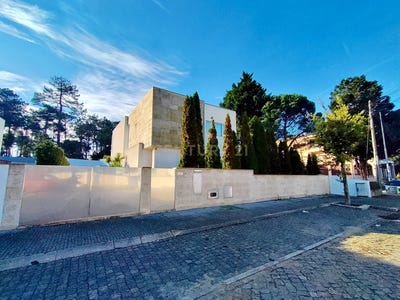 /international/pt/rua-do-cabreiro-108-arvore-portugal-arvore-porto-310103806210/