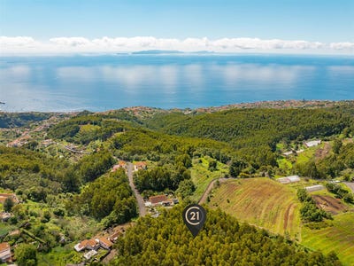 /international/pt/gaula-madeira-310100762135/