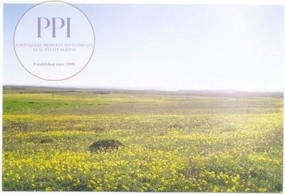 /international/pt/vila-do-bispo-faro-310101385175/