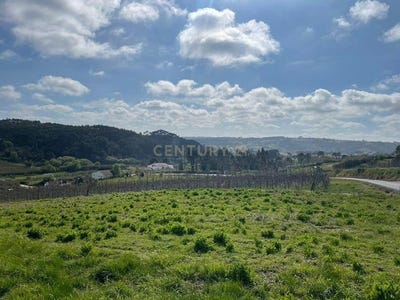 /international/pt/salir-de-matos-leiria-120091005481/