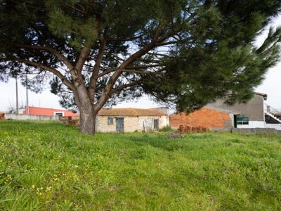 /international/pt/carapinheira-coimbra-310104249092/