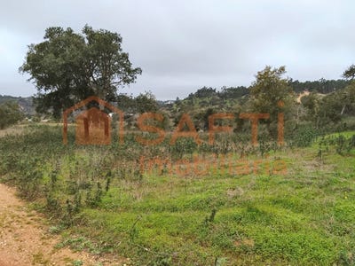 /international/pt/boavista-dos-pinheiros-beja-310106410412/