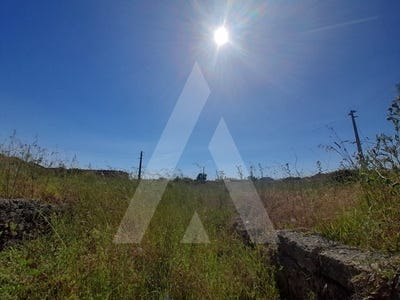 /international/pt/esgueira-aveiro-310100276985/
