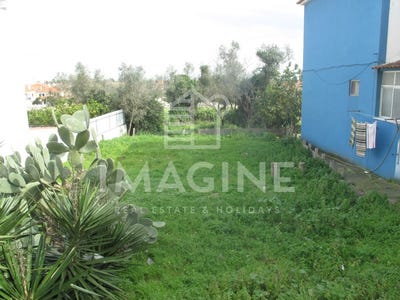/international/pt/palmela-setubal-municipality-310104886269/