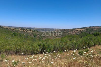 /international/pt/loule-faro-310108756084/