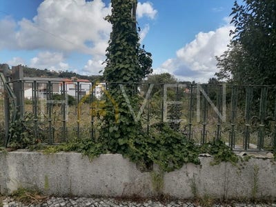 /international/pt/benedita-leiria-310099845538/
