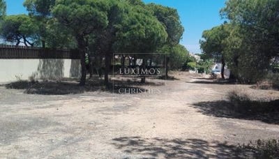 /international/pt/almancil-faro-120086457133/