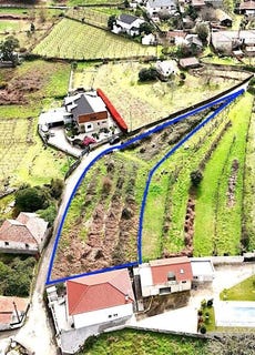 /international/pt/bela-mono-portugal-bela-lisbon-310106409424/